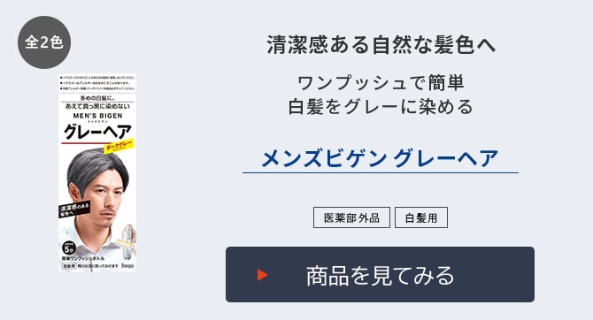 メンズビゲン グレーヘア