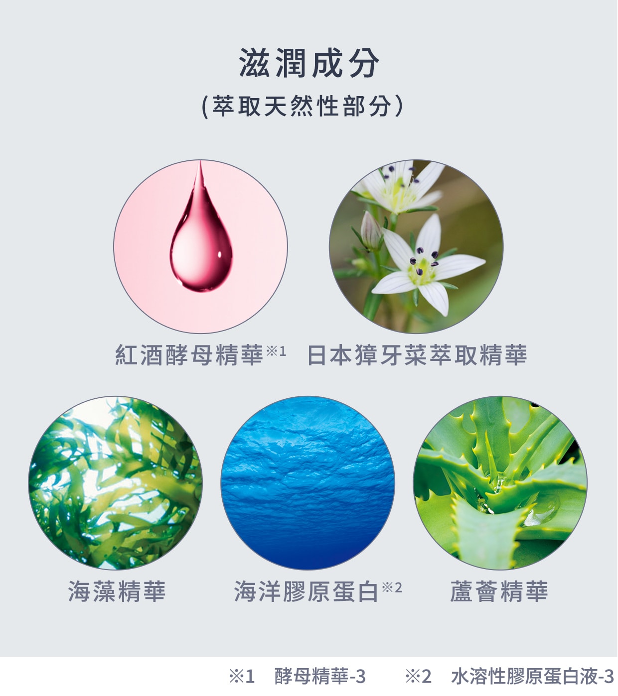 説明画像