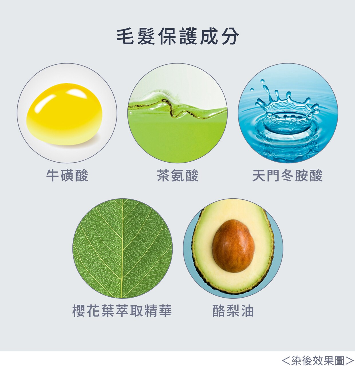 説明画像
